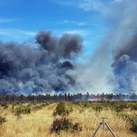 La Junta podrá actuar en montes privados para prevenir incendios