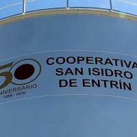 Cooperativa de Entrin Bajo: 50 años de buen vino