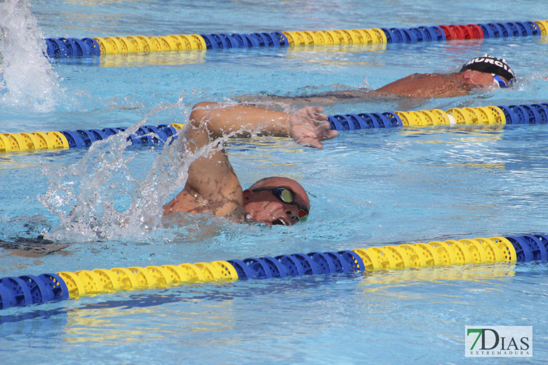 Imágenes del nacional de natación master en Badajoz I