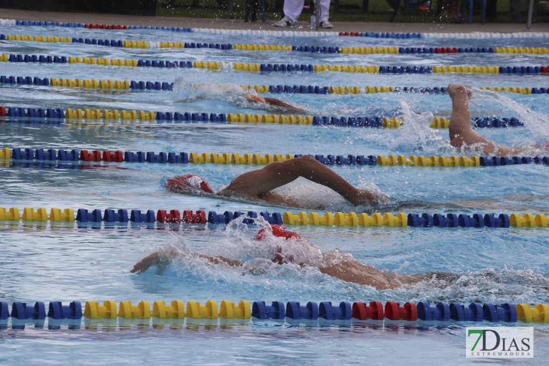 Imágenes del nacional de natación master en Badajoz I