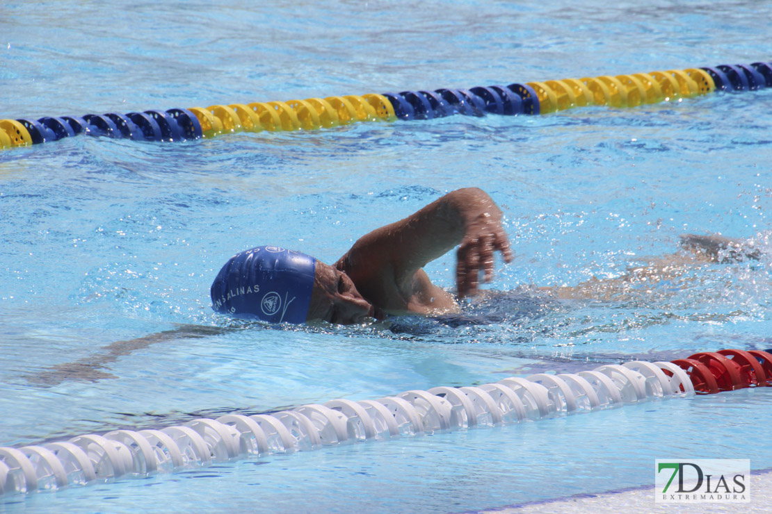 Imágenes del nacional de natación master en Badajoz I