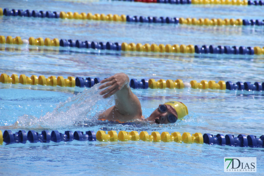 Imágenes del nacional de natación master en Badajoz I