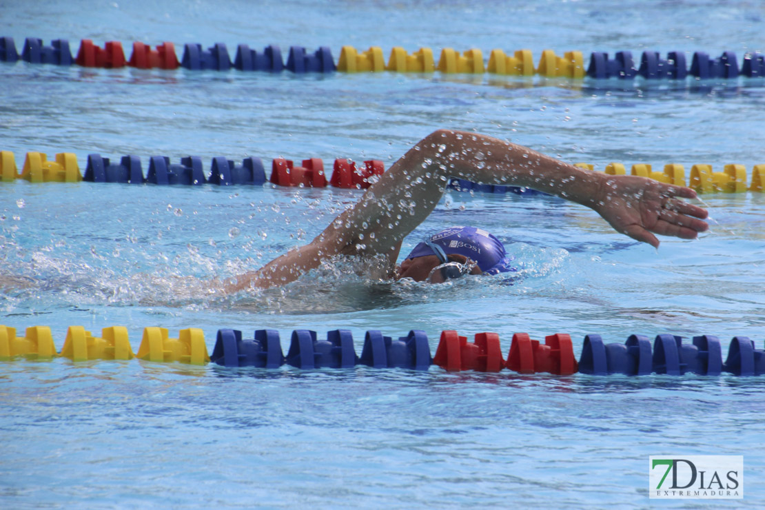 Imágenes del nacional de natación master en Badajoz I