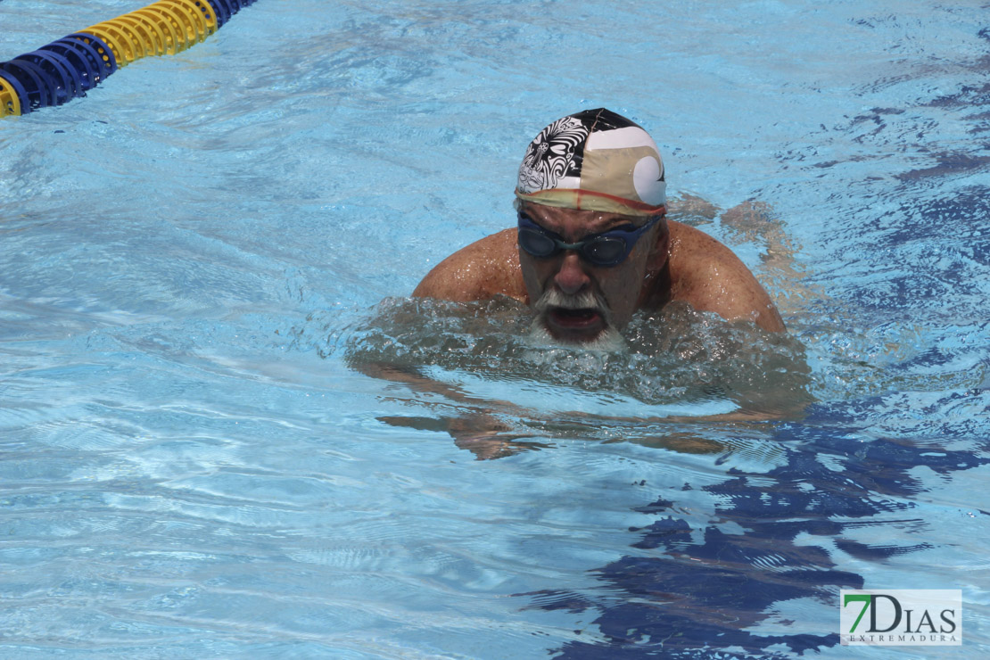 Imágenes del nacional de natación master en Badajoz II