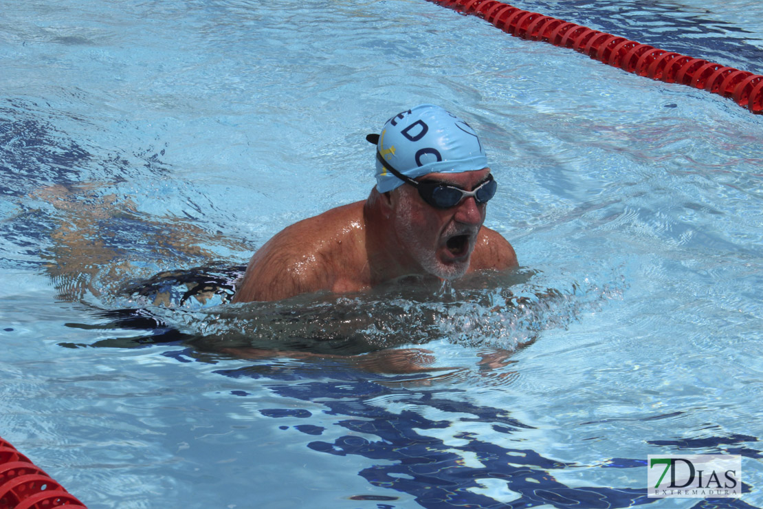 Imágenes del nacional de natación master en Badajoz II