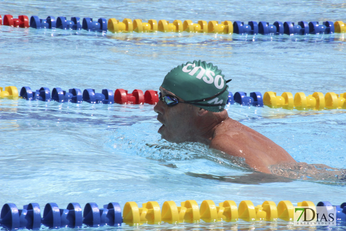 Imágenes del nacional de natación master en Badajoz II