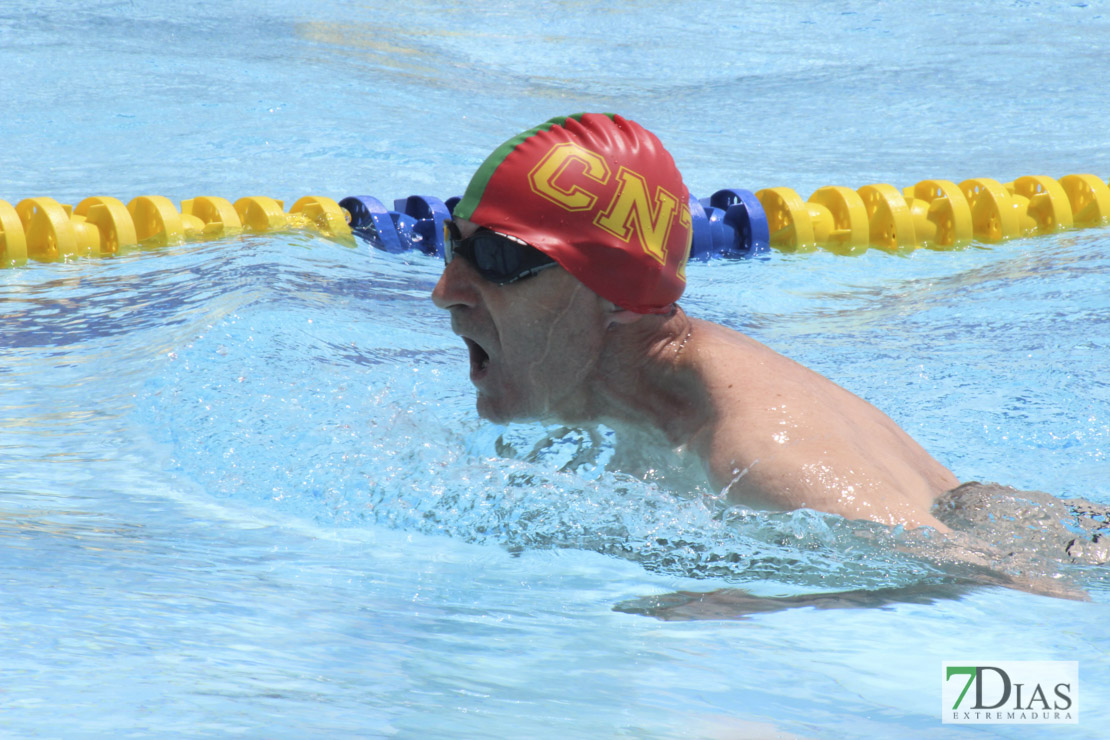 Imágenes del nacional de natación master en Badajoz II