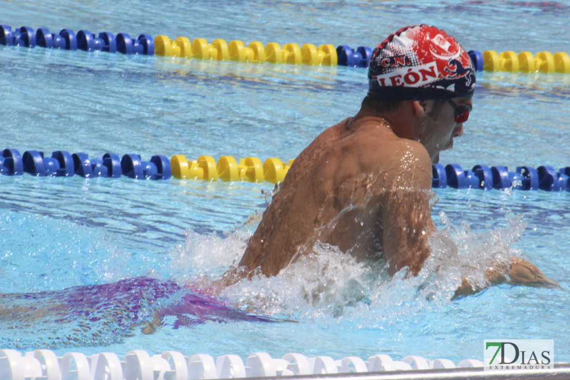 Imágenes del nacional de natación master en Badajoz II