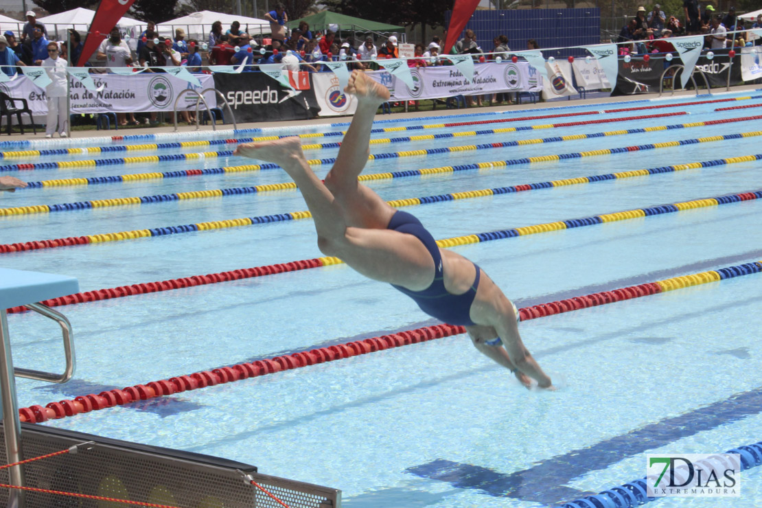 Imágenes del nacional de natación master en Badajoz II