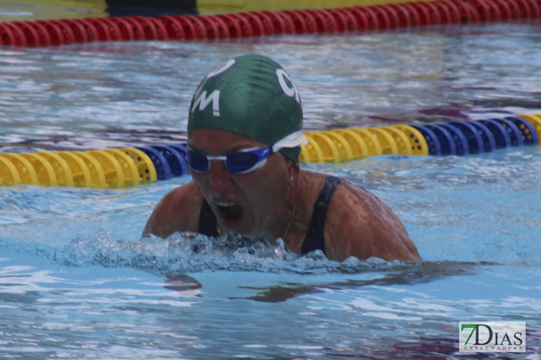 Imágenes del nacional de natación master en Badajoz II