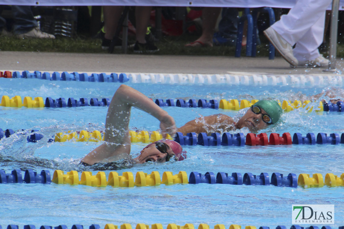 Imágenes del nacional de natación master en Badajoz II