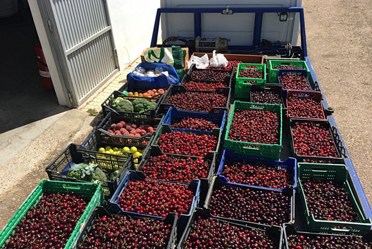 Intervienen una tonelada y media de frutas y verduras en el mercadillo