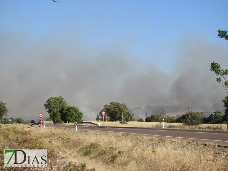 Incendio forestal en la carretera de Sevilla (Badajoz)