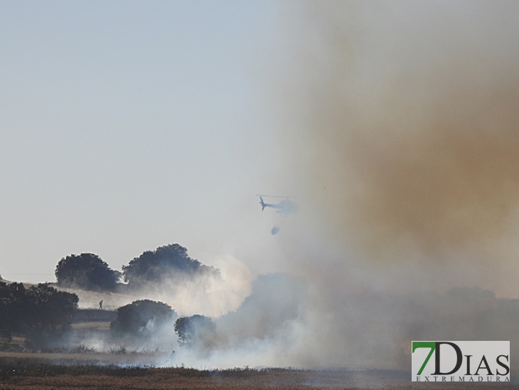 Incendio forestal en la carretera de Sevilla (Badajoz)