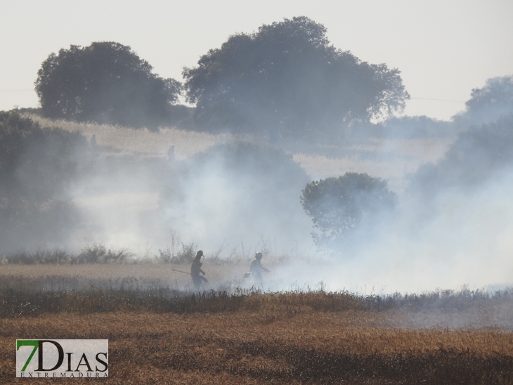 Incendio forestal en la carretera de Sevilla (Badajoz)