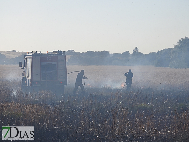 Incendio forestal en la carretera de Sevilla (Badajoz)