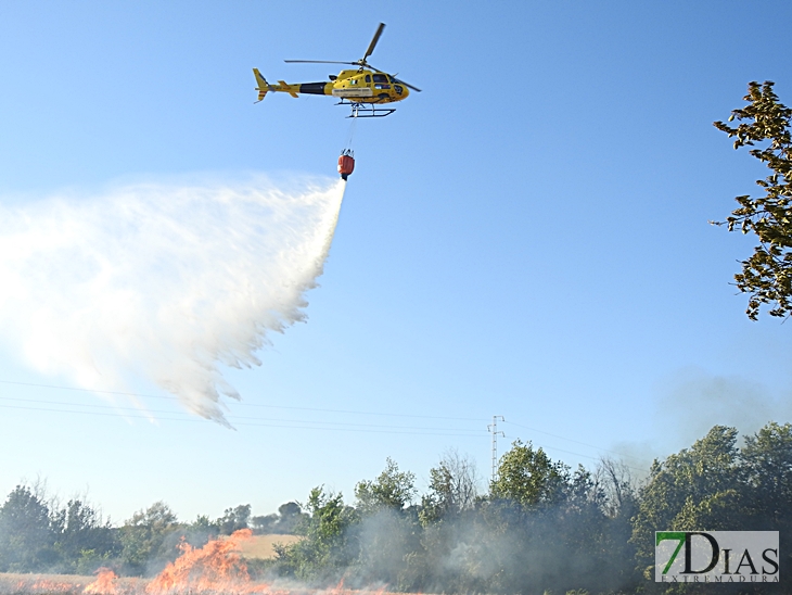 Incendio forestal en la carretera de Sevilla (Badajoz)