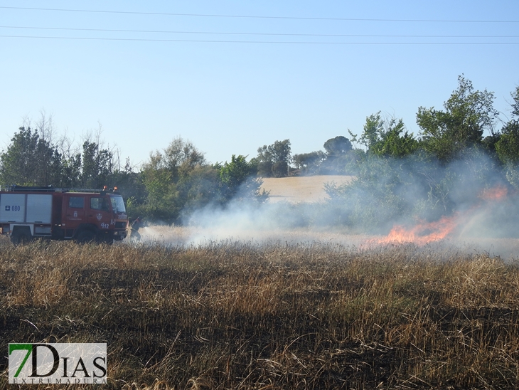 Incendio forestal en la carretera de Sevilla (Badajoz)