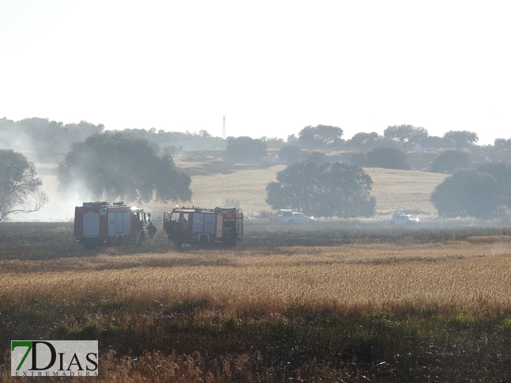 Incendio forestal en la carretera de Sevilla (Badajoz)