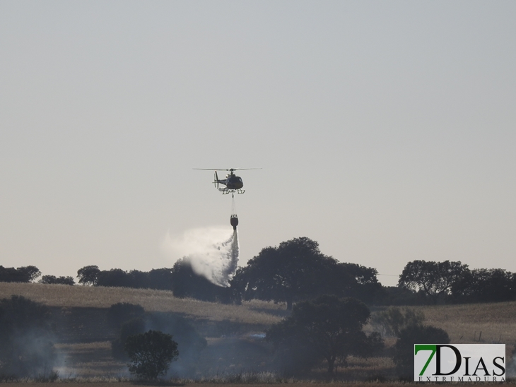 Incendio forestal en la carretera de Sevilla (Badajoz)