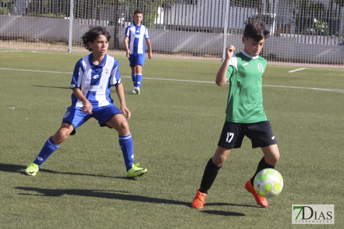 Imágenes del Mundialito de Clubes Ciudad de Badajoz