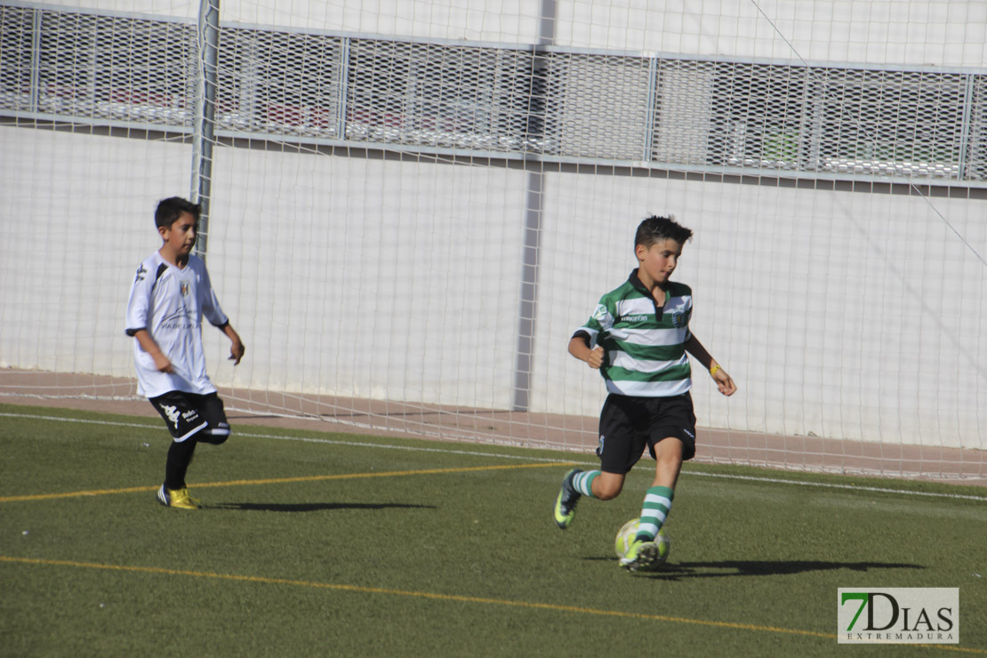 Imágenes del Mundialito de Clubes Ciudad de Badajoz II