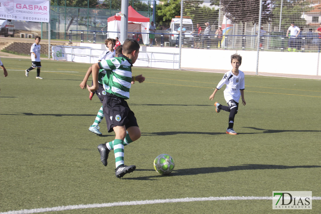 Imágenes del Mundialito de Clubes Ciudad de Badajoz II