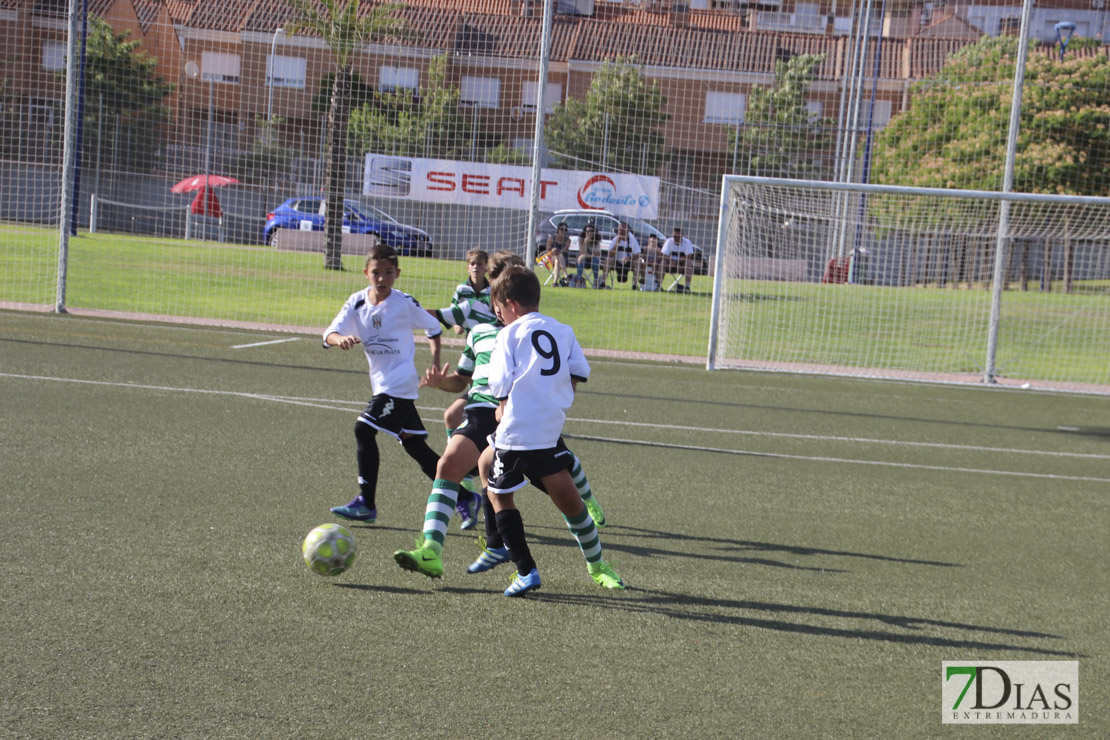 Imágenes del Mundialito de Clubes Ciudad de Badajoz II