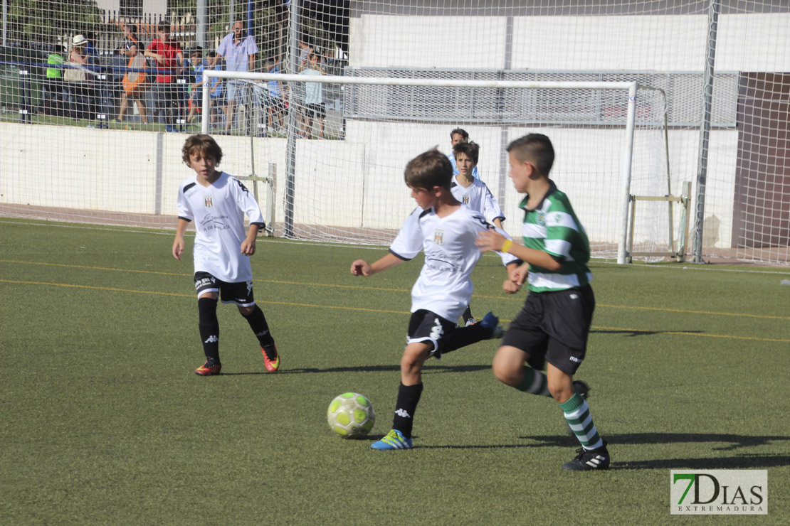 Imágenes del Mundialito de Clubes Ciudad de Badajoz II