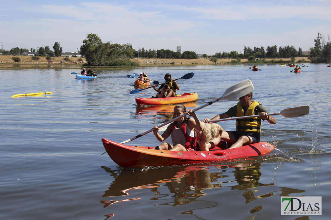 Imágenes de la II Travesía Canina en Badajoz