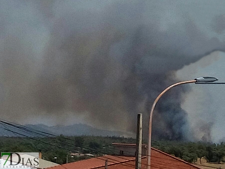 El Infoex actúa en un incendio forestal en La Codosera (Badajoz)