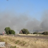 Incendio forestal en la carretera de Sevilla (Badajoz)