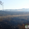 Incendio forestal en la carretera de Sevilla (Badajoz)