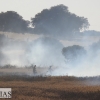 Incendio forestal en la carretera de Sevilla (Badajoz)