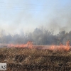 Incendio forestal en la carretera de Sevilla (Badajoz)