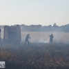 Incendio forestal en la carretera de Sevilla (Badajoz)