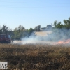 Incendio forestal en la carretera de Sevilla (Badajoz)