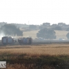 Incendio forestal en la carretera de Sevilla (Badajoz)