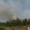 El Infoex actúa en un incendio forestal en La Codosera (Badajoz)