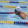 Imágenes del nacional de natación master en Badajoz II