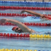 Imágenes del nacional de natación master en Badajoz II