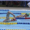 Imágenes del nacional de natación master en Badajoz II