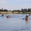 Imágenes de la II Travesía Canina en Badajoz