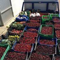 Intervienen una tonelada y media de frutas y verduras en el mercadillo