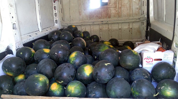 Intervienen una tonelada y media de frutas y verduras en el mercadillo