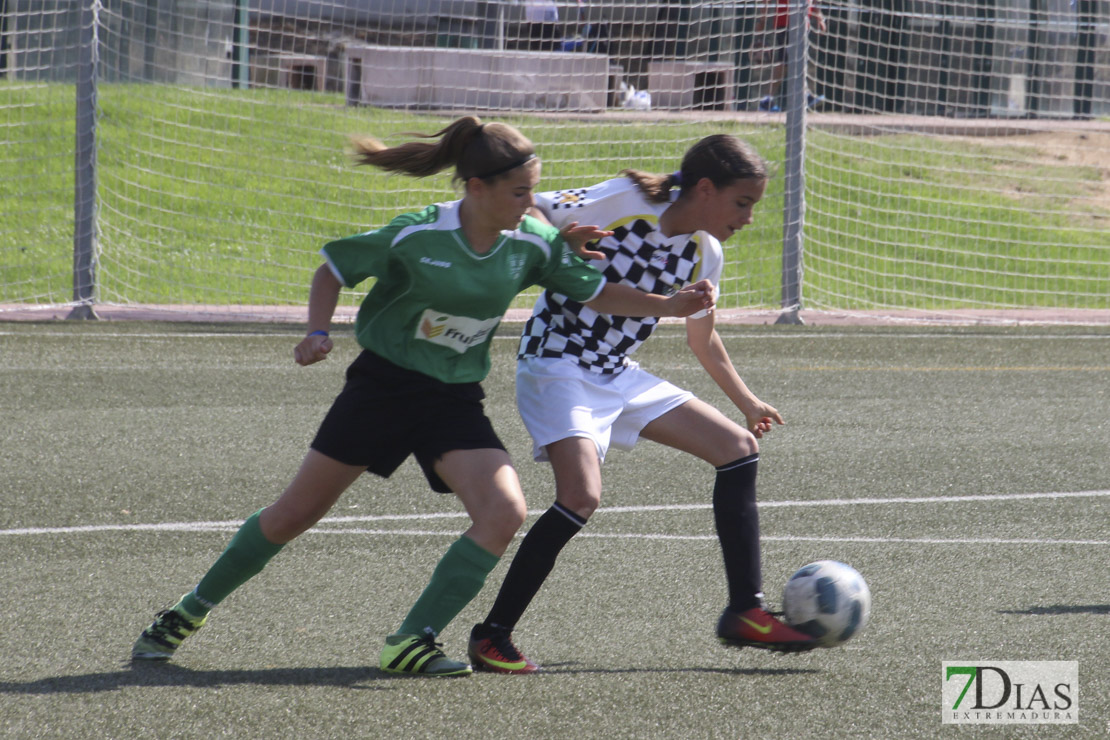 Imágenes de la VII Women&#39;s Cup II