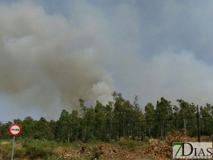 El Infoex actúa en un incendio forestal en La Codosera (Badajoz)