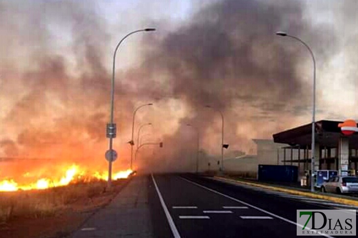 Un incendio de pasos pone en peligro una gasolinera en Mérida