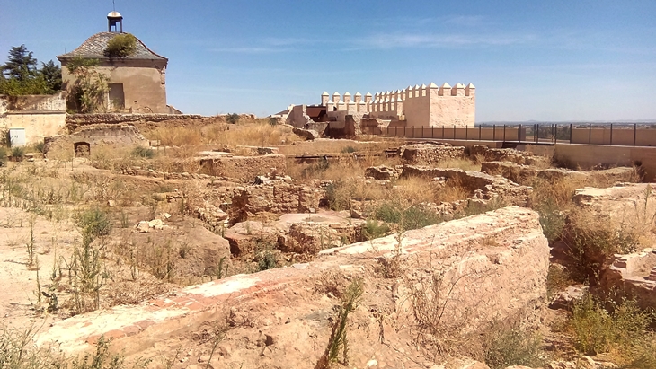 El origen del Reino Taifa de Badajoz lleno maleza y suciedad