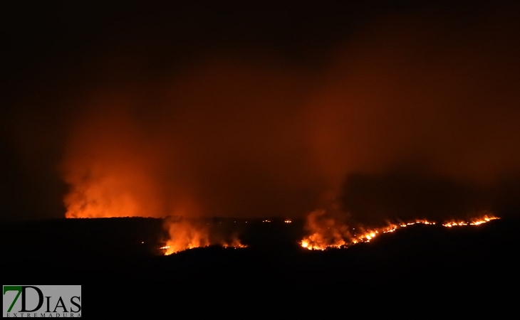 Imágenes desde el corazón del incendio de Portugal